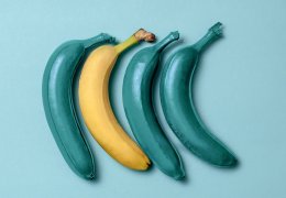 Creativity, creative thinking, ideas concept with blue bananas and one yellow banana on blue background. The concept - not like everyone else or concept difference or individuality
